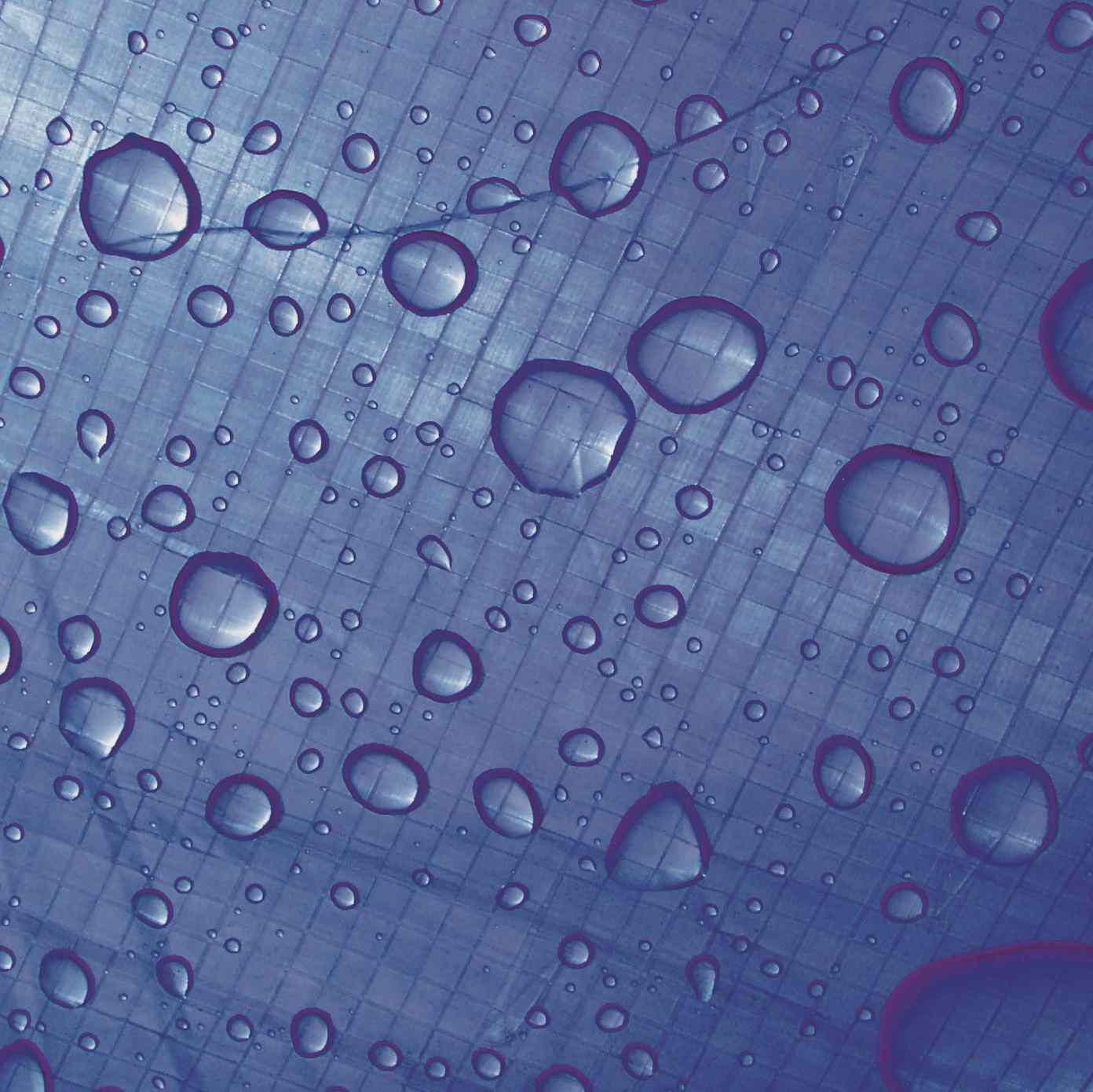 1296-W6006 - Image 3